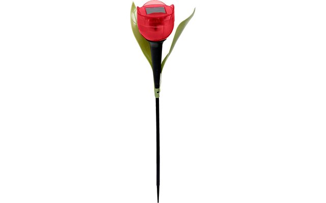 Solar LED Tulpe