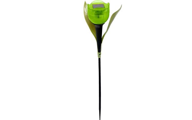 Solar LED Tulpe