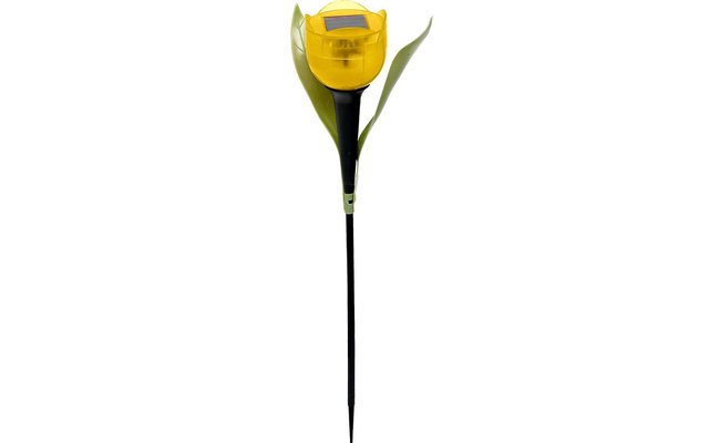 Solar LED Tulpe