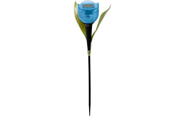 Solar LED Tulpe